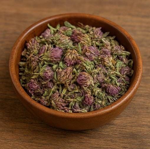 Red Clover - Dried Plant