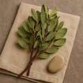 Manzanita - Dried Plant