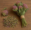 Red Clover - Dried Plant