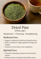 Pine - Dried Plant