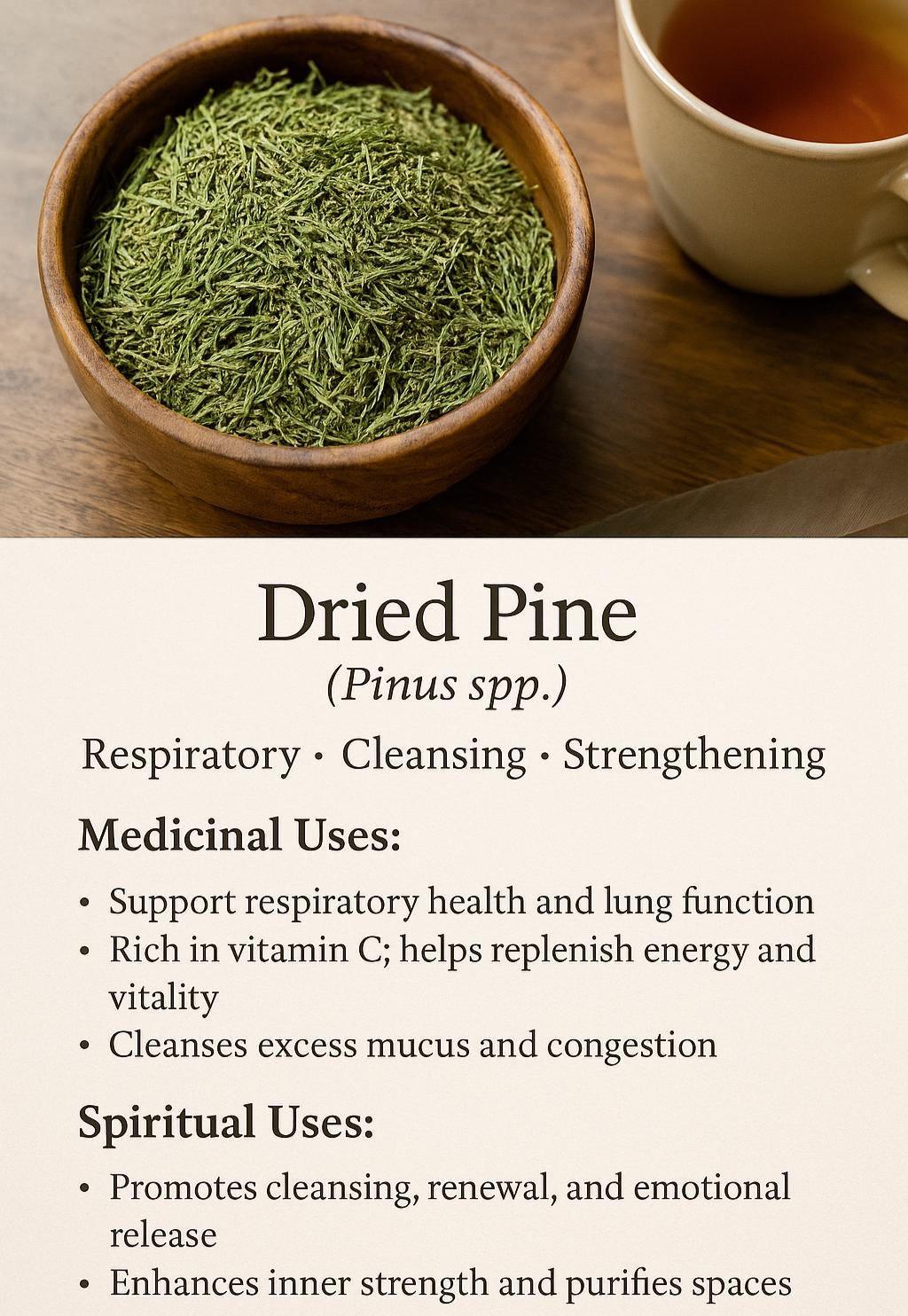 Pine - Dried Plant