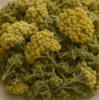 Yarrow Flower - Dried Herb