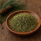 Pine - Dried Plant