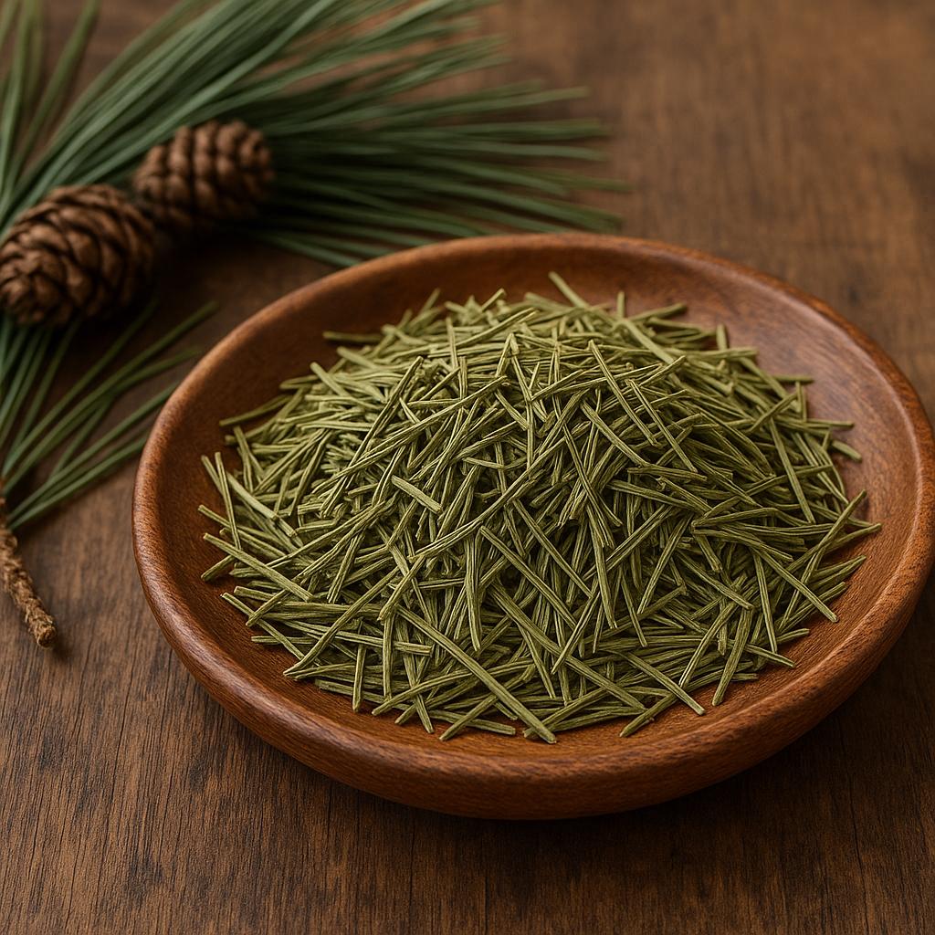 Pine - Dried Plant