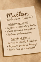 Mullein - Dried Herb