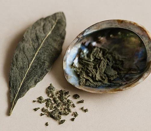 Yerba Santa - Dried Herb