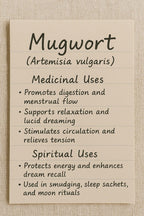 Mugwort - Dried Herb