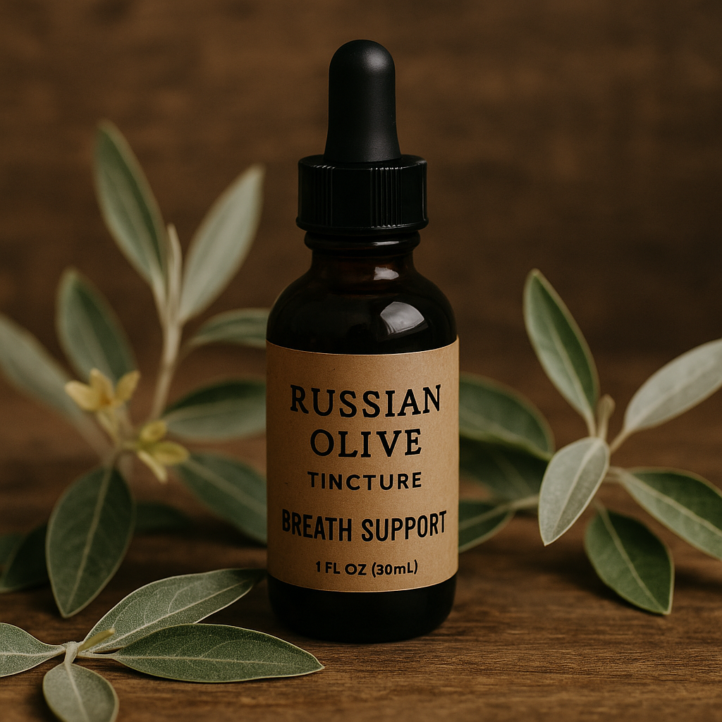 Russian Olive Tincture | Breath Support