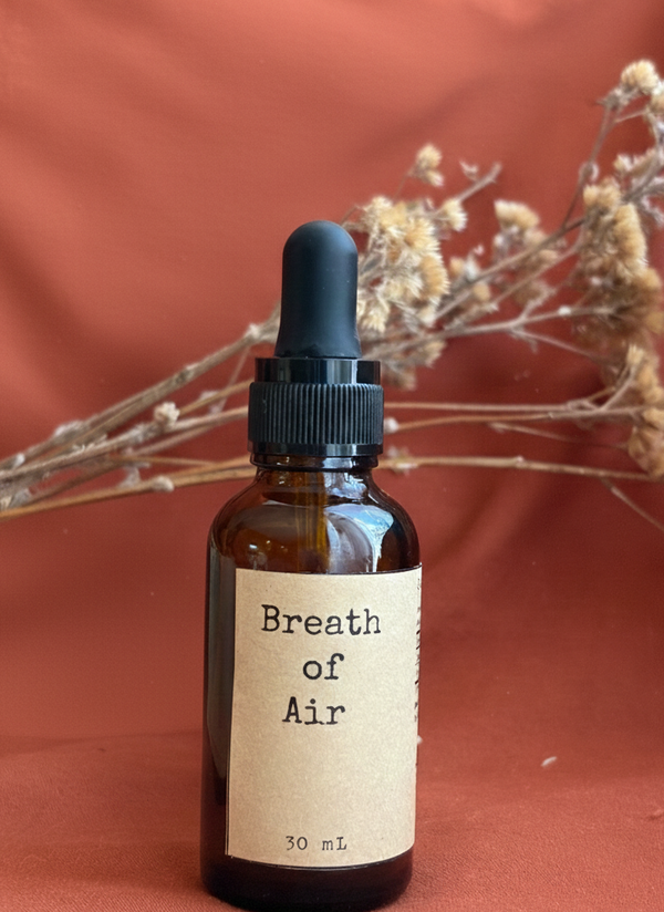 Breath of Air | Mullein + Coltsfoot Tincture | 30 mL Tincture