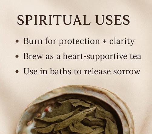Yerba Santa - Dried Herb