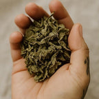 Lemon Balm - Dried Herb