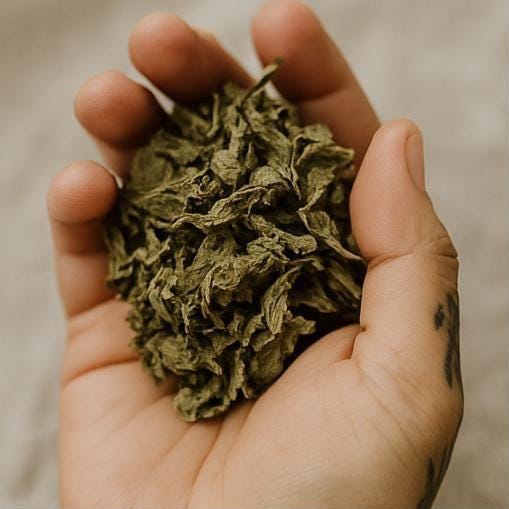Lemon Balm - Dried Herb