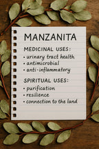 Manzanita - Dried Plant